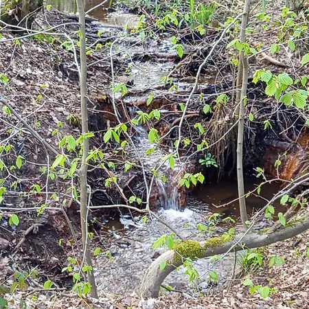 شقة Licht Und Natur, Deine Premium Auszeit Am Wald فيهل