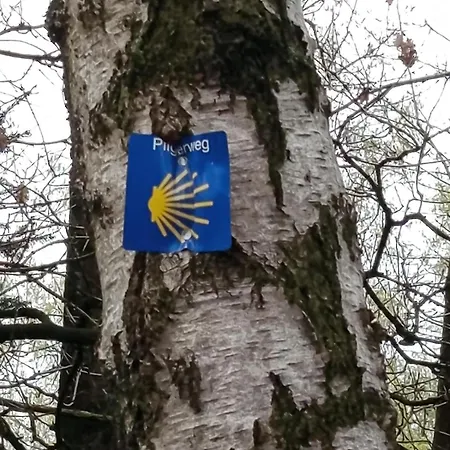 Apartmán Licht Und Natur, Deine Premium Auszeit Am Wald *