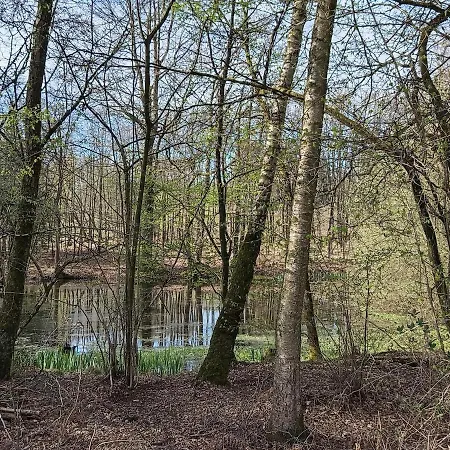 Apartmán Licht Und Natur, Deine Premium Auszeit Am Wald Wiehl