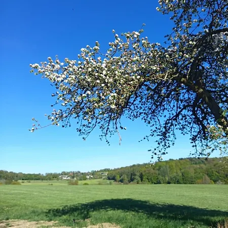 Licht Und Natur, Deine Premium Auszeit Am Wald Apartmán *