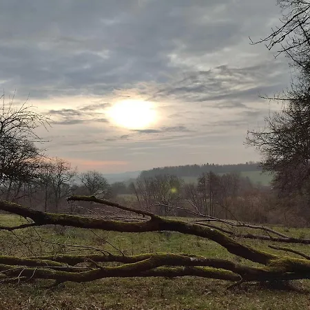 Licht Und Natur, Deine Premium Auszeit Am Wald شقة *