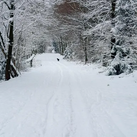 Licht Und Natur, Deine Premium Auszeit Am Wald فيهل